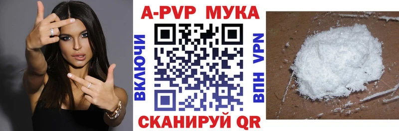 APVP СК Кохма