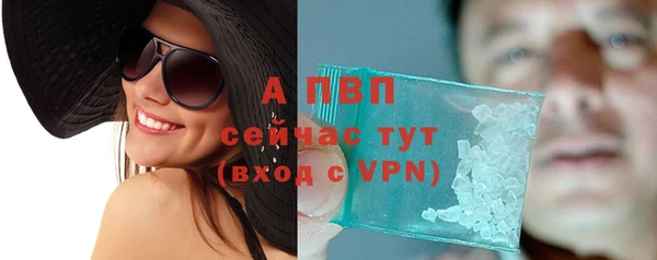 стаф Карпинск