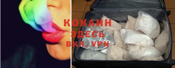 стаф Карпинск