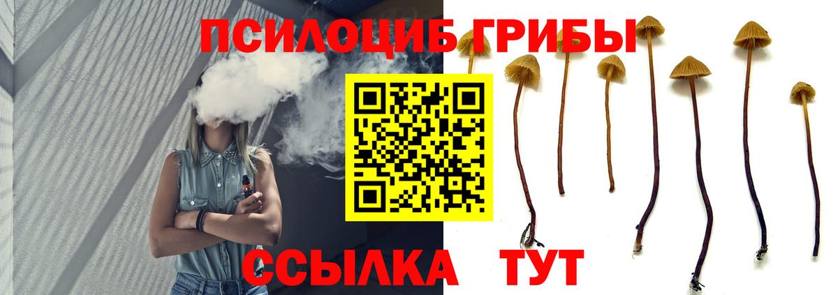 Галлюциногенные грибы ЛСД Кохма