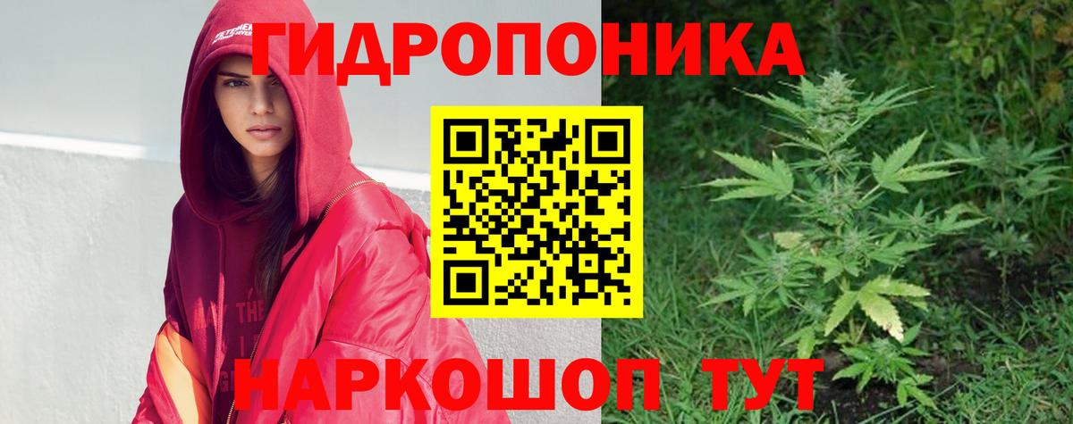 Кохма  Бошки марихуана THC 21%  Канабис индика  Вход с VPN  Шишки марихуана планчик 